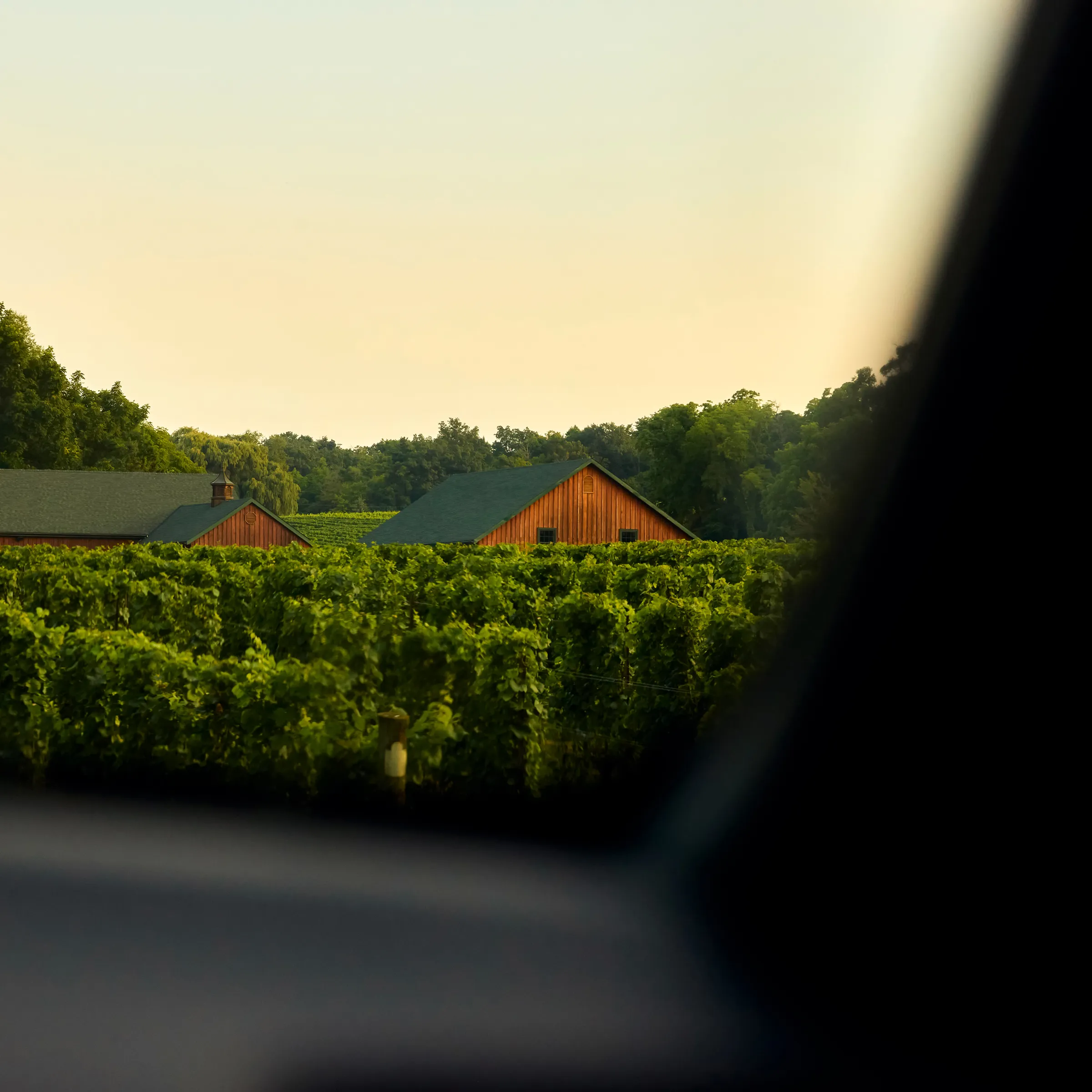 Hidden Bench Estate Winery from the view of the front windshield of a car