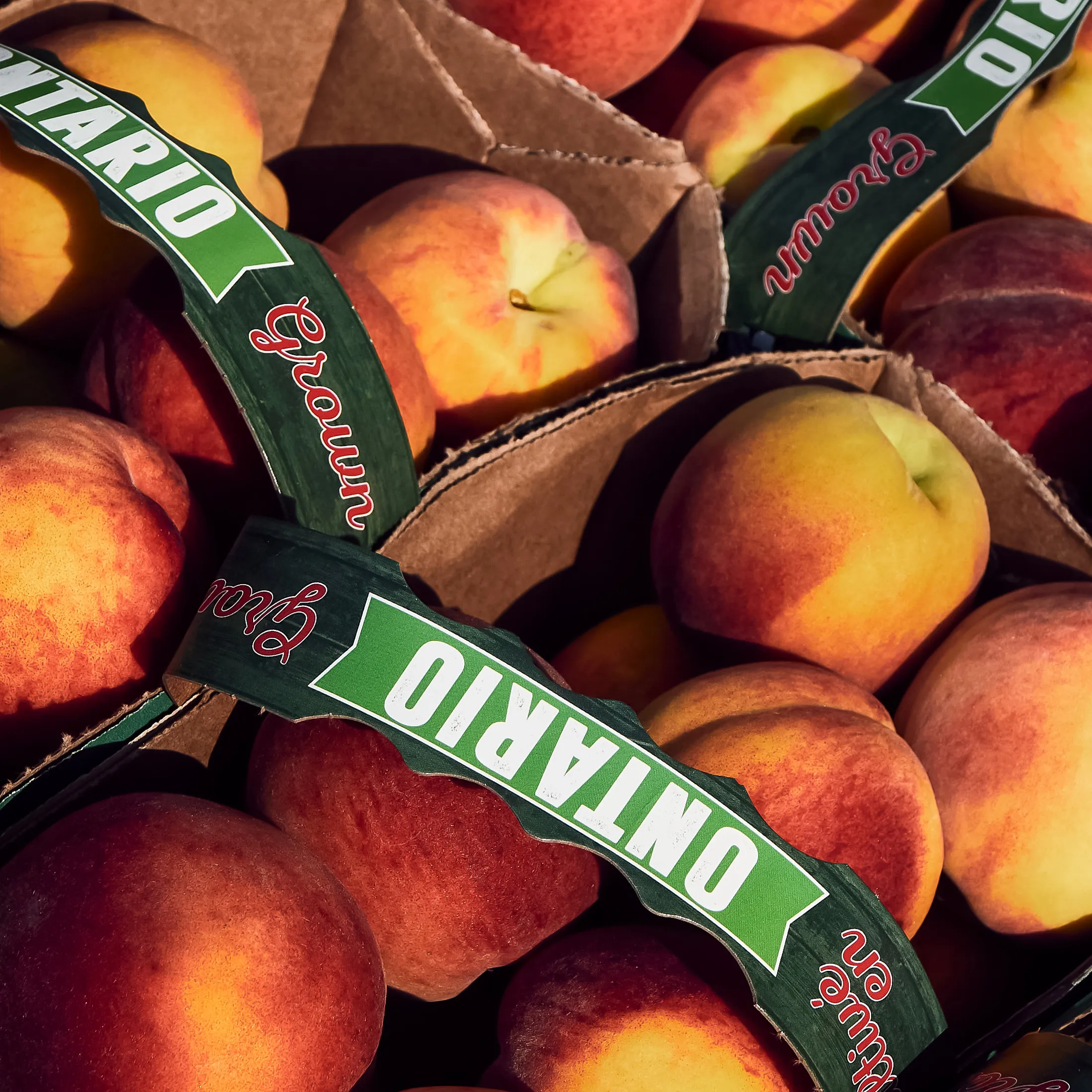 Baskets of Ontario peaches at a farmstand