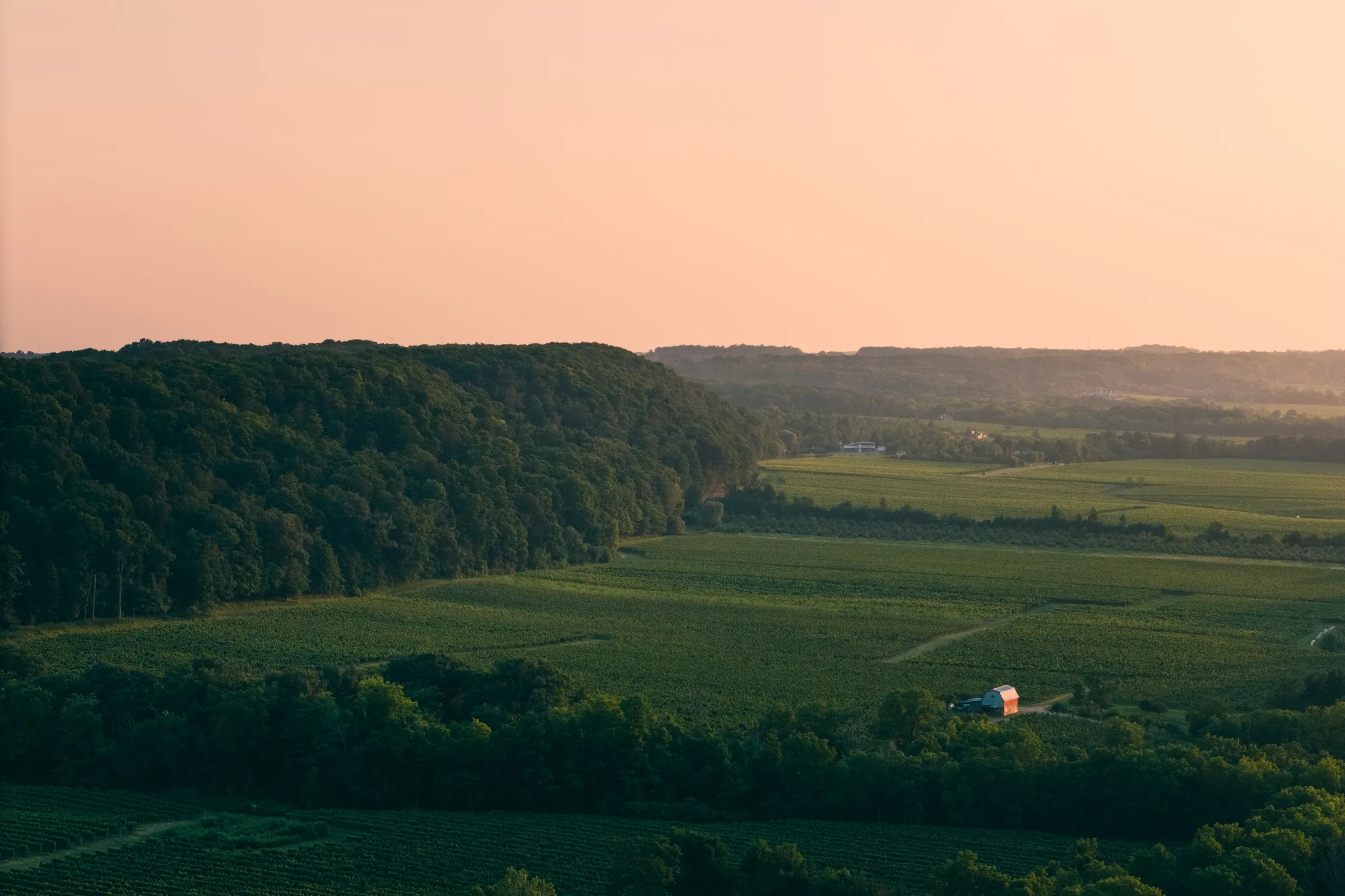 Aerial of Niagara Escarpment with a barn amongst vineyard rows