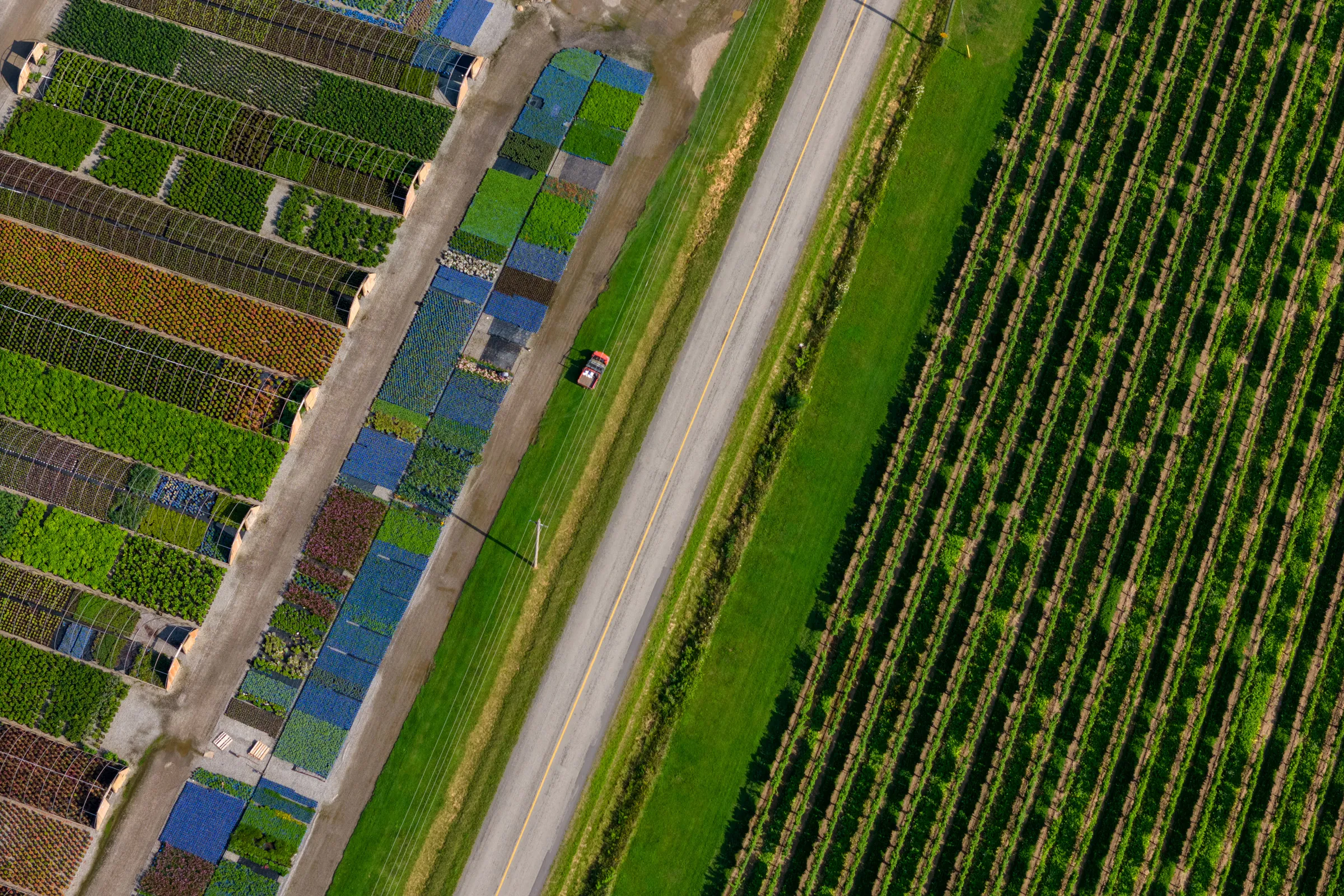 Aerial of Blue Sky Nursery with a red tractor beside the road