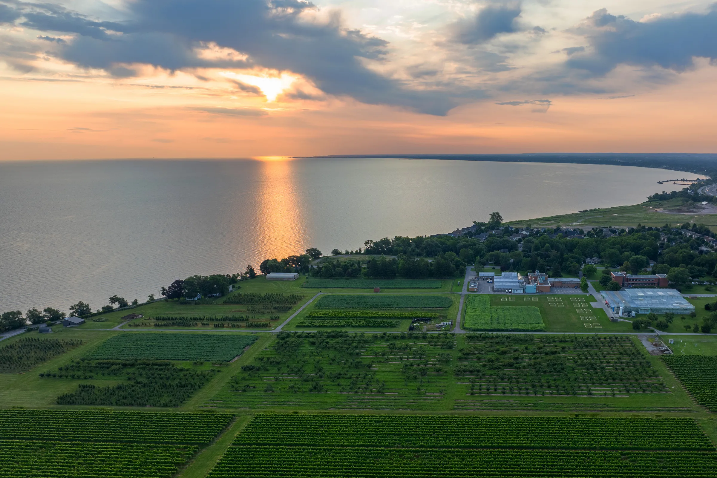 Aerial of Project Bench site between farmland and Lake Ontario